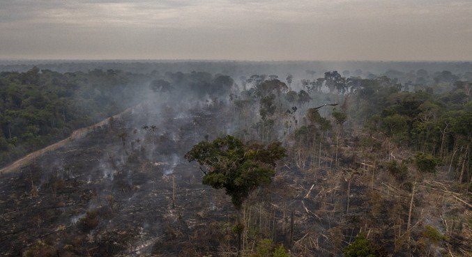 O estado de maior risco é o Pará, com uma área potencialmente depredada de 6.288 km²