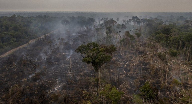 Desmatamento na Amazônia
