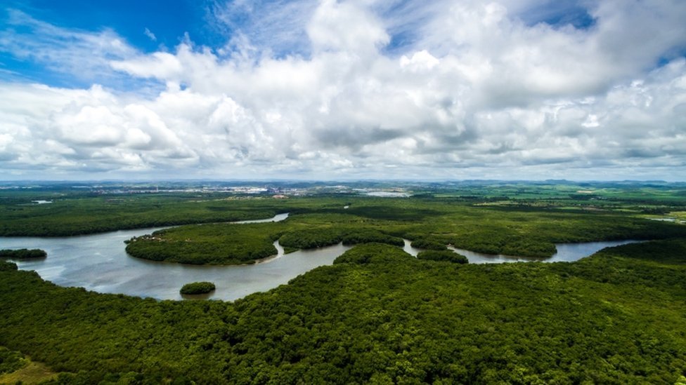 A Floresta Amazônica é questão central no debate ecológico internacional 