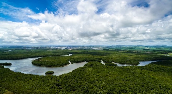 A Floresta Amazônica é questão central no debate ecológico internacional 