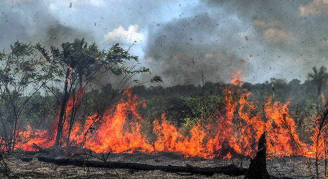 Amazônia emite mais gases de efeito estufa do que pode filtrar (Gabriela Biló/Agência Estado — 27.08.2019)