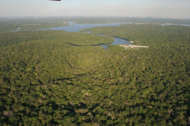 Amazônia