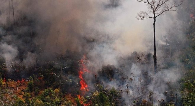 Aumento de mais de 80% nos incêndios este ano foi amplamente noticiado