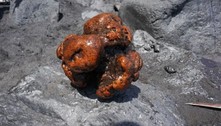 'Ouro flutuante': professor encontra pedra rara avaliada em R$ 2,4 milhões em intestino de baleia 