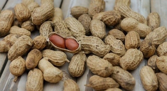 Amendoim é quitute essencial para a elaboração da paçoca e do pé de moleque