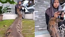 Vídeo chocante: jovem assusta rede social ao aparecer com serpente gigantesca de estimação no colo