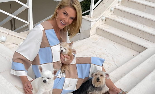 "Verdadeiro salão de beleza", diz Ana Hickmann sobre pet shop que montou para seus cães  (Reprodução/ Instagram)