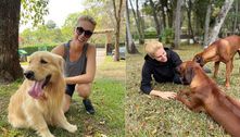 Ana Hickmann diz ter recebido 'boa notícia' e posta foto com cachorros: 'Tenho super-heróis'