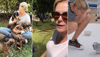 Ana Hickmann é tutora de mais de 150 animais de várias espécies (Reprodução/Instagram/@anahickmann)