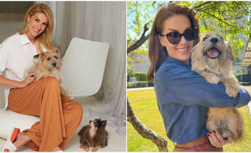 Ana Hickmann homenageia cachorros após agressão (Reprodução/Instagram/@anahickmann)