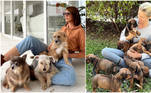 Ana Hickmann e seus cachorros