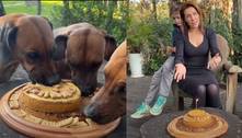 Ana Hickmann faz bolo de aniversário para os cachorros da família