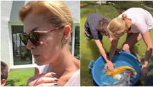Ana Hickmann transfere carpas que estavam sem oxigênio em lago de sua mansão, após falta de energia