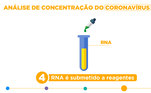 RNA é submetido a reagentes 