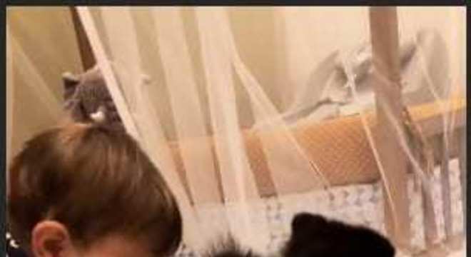 andressa suita gusttavo lima cachorrinho