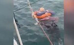 Visbal e Gustavo, que a resgataram, inicialmente acharam que se tratava de um pedaço de madeira, mas a curiosidade os levou a investigar melhorLEIA MAIS: Serpente altamente venenosa é resgatada após cair em piscina