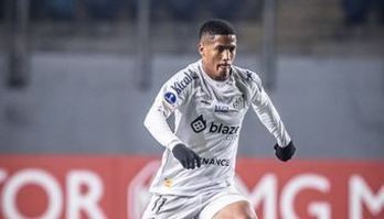 Santos recebe Internacional para amenizar crise e reagir no nacional (Raul Baretta/ Santos FC)