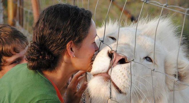 Animais albinos - 27 criaturas singulares que chamam a atenção pela cor