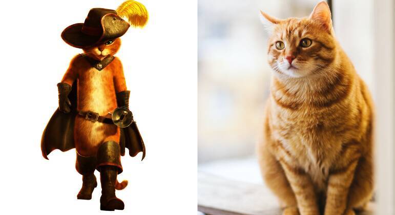 animais das animações