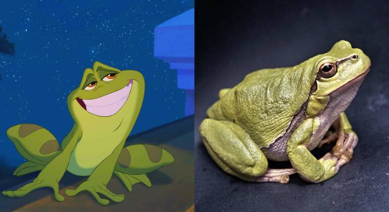 animais das animações