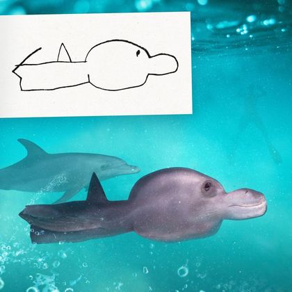 Este golfinho simpático foi desenhado por uma menina chamada Madison, que não teve sua idade revelada na publicação do artista