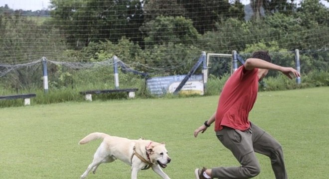 animais e a saúde