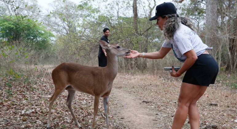 Animais em Casanare, na Colômbia