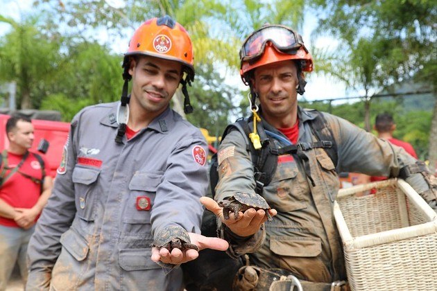 Na Barra do Sahy, o grupo resgatou 40 cães e 22 gatos na área do desastre. Desse total, 22 cachorros e 12 felinos foram encaminhados ao Instituto Felipe Becari para adoção. Outros 16 animais estão abrigados no Instituto Verdescola. Dois cães e dois gatos estão internados em uma clínica veterinária