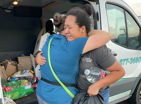 Estima-se que cerca de 3.000 animais da cidade de Lahaina, a mais afetada pelos incêndios, estejam desaparecidos, segundo a Humane Society. Entre os pets atendidos pela ONG, estão cachorros, gatos, pássaros, porquinhos-da-índia, coelhos e até mesmo galinhas