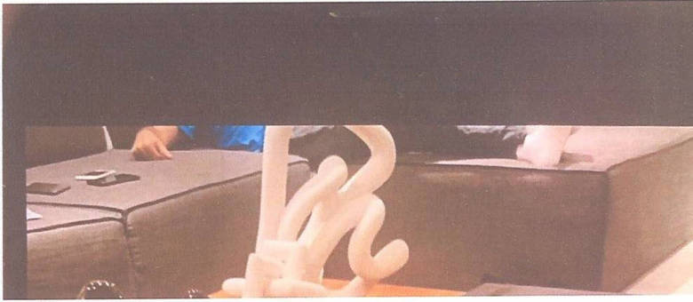 Foto de Anselmo deitado no sofá, encontrada no celular da mulher de Gritzbach (Reprodução/Inquérito/Polícia Civil)