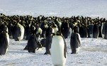 Já a temperatura mais baixa registrada foi em Vostok, na Antártida, onde os termômetros atingiram -89,2°C em 21 de julho de 1983. A OMM comparou com dados recolhidos desde 1912 para chegar a esse recorde