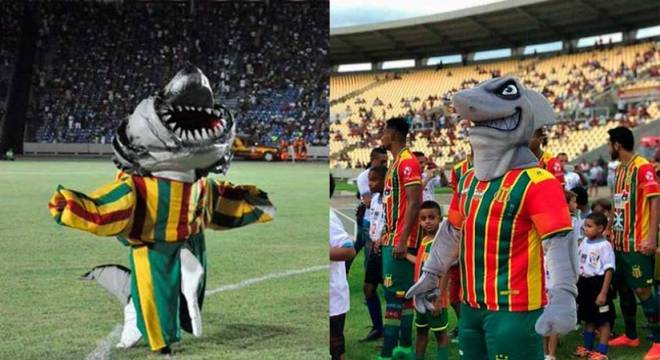 Antes e depois: o Sampaio Corrêa teve uma grande evolução no seu mascote. O Tubarão ganhou nova roupa e uma aparência bem mais 'bombadona'
