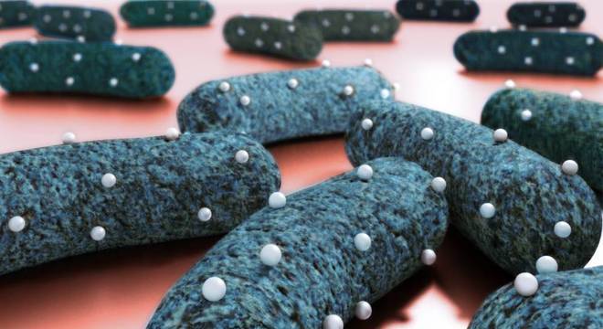  Modelagem mostra nanopartículas carregadas com antiobótico grudadas na superfície de bactérias 