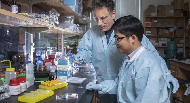 Mark Prausnitz e o p&oacute;s-doutor Wei Li, do centro Gatech, examinam adesivo