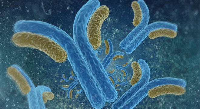 Anticorpos são proteínas em formato de Y que grudam na superfície de vírus