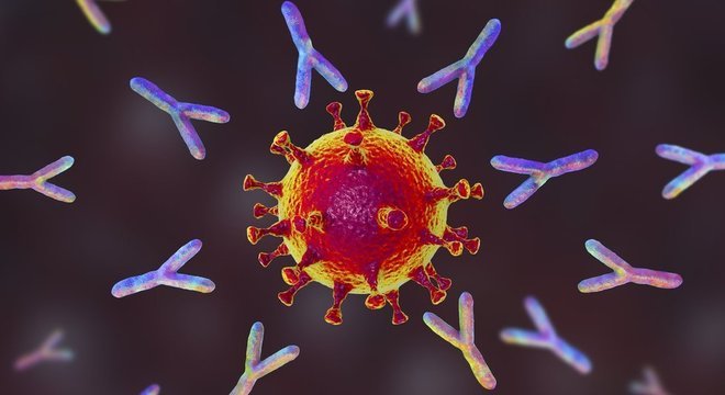  CoronaVac usa vírus inativados para gerar resposta imune