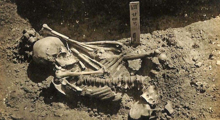 Esse esqueleto tem mais de 790 marcas de um feroz ataque de tubarão