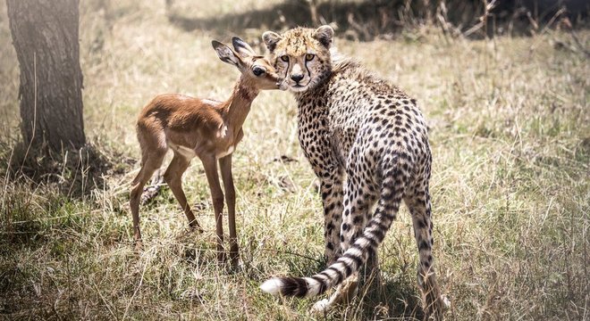 Tudo indica que, às vezes, você precisa perdoar o agressor