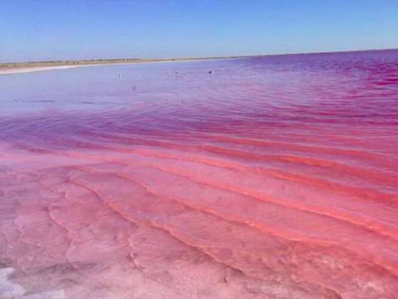 Anualmente, em geral durante o verão do Hemisfério Norte, as águas do lago adquirem uma tonalidade rosada devido a um fenômeno da natureza.
