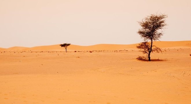 Ao sul do Deserto do Saara, o Sahel é altamente vulnerável à desertificação