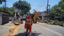 Arquivos Enel Brasil - Prefeitura de Osasco