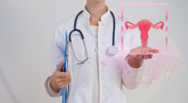 Quanto você realmente sabe sobre sua vagina? 