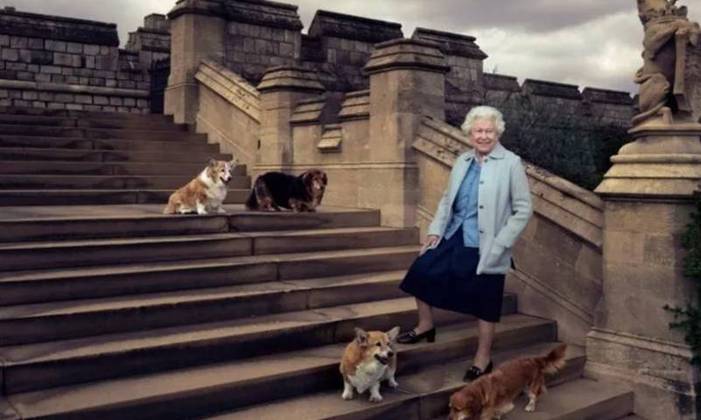 Após a morte da Rainha Elizabeth II, na última quinta-feira (08), muitas pessoas têm curiosidade de saber com quem ficarão os cachorros da monarca. 