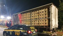 PRF apreende mais de 10 mil garrafas de cachaça em Vargem (SP)