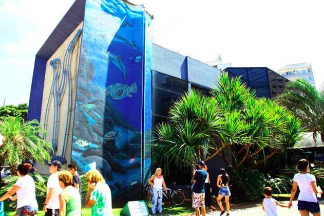 Aquário Municipal de Santos (SP): Inaugurado em 1945, esse foi o primeiro aquário do Brasil. Com mais de 120 espécies diferentes e cerca de mil animais, o local é líder em iniciativas de preservação marinha e cuidados com animais do oceano, além de receber quase meio milhão de visitantes por ano!