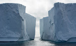 Aquecimento global antártida pinguins geleiras