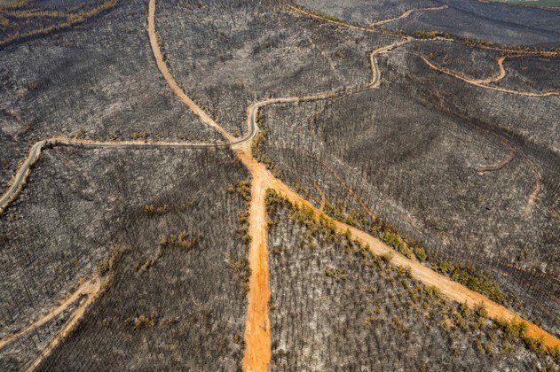 aquecimento global desmatamento