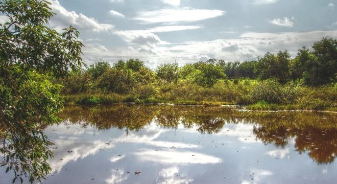 Aquífero Guarani - Formação, principais características e importância