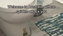 Homem de cueca usa pistola de pressão para atacar aranha gigante