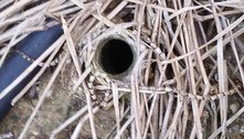 Homem descobre buraco no quintal, investiga na web e faz descoberta assustadora